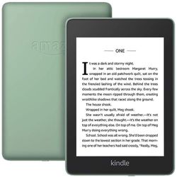 купить Книга электронная Amazon Kindle Paperwhite 2018 Green (8GB) в Кишинёве