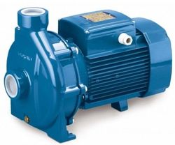 Насос для систем отопления Pedrollo CP 230 B