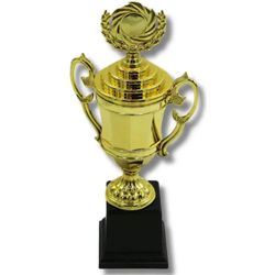 купить Кубок наградной miscellaneous 4548 26 cm plastic 243-1252 в Кишинёве 