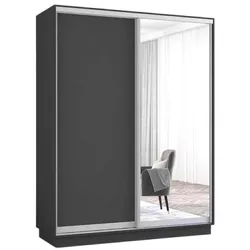 купить Шкаф Mobildor-Lux Раздвижные двери Fox из зеркала и ДСП (170x60x230 см, высота) Антрацит в Кишинёве 