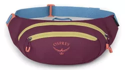 купить Поясная сумка Osprey Daylite Waist moody burgundy hip (810145598719) в Кишинёве 