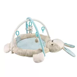 cumpără Complex de joacă pentru copii New Baby Q/3551C-0100 Коврик игровой - Rabbit în Chișinău 