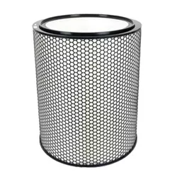 cumpără Filtru pentru purificator de aer Dyson 360 HEPA H13-grade filter (972132) în Chișinău 