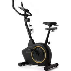 cumpără Bicicletă fitness Zipro Boost Gold în Chișinău 