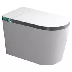 cumpără Vas WC iSink WC Inteligent, Alb (1305986) în Chișinău 