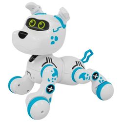 cumpără Robot Xtrem Bots XT3803420 Bobby robot în Chișinău 