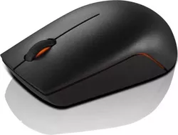 cumpără Mouse Lenovo 300 Wireless Compact (GX30K79401) în Chișinău 