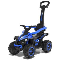 купить Толокар Baby Mix 54951 Mega Baby Bike Blue с ручкой в Кишинёве 