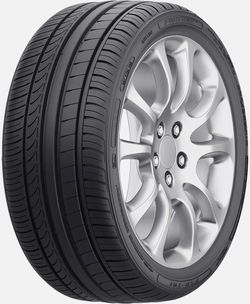 купить Шина Fortune 225/40 R19 93Y FSR-701 в Кишинёве 
