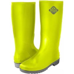 купить Спецобувь Dyllu DTRB1L42 (51566) в Кишинёве 