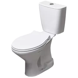 cumpără Vas WC Ege Vitrifye E14103 (fara mecanism) ERA, fara capac, evacuare verticala în Chișinău 