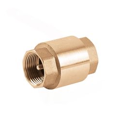 Обратный клапан пружинный 1" PN10 5503 Perfekt