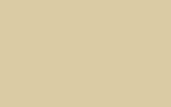 CARBON 8104 Beige