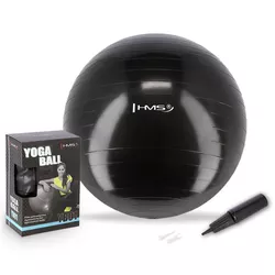 cumpără Minge HMS 367 Minge gimnastica d=55cm cu pompa Black YB01 (17-42-157) în Chișinău 