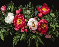 cumpără Tablou pe numere Strateg 58063 Aranjament floral 40x50cm (fundal negru) în Chișinău 