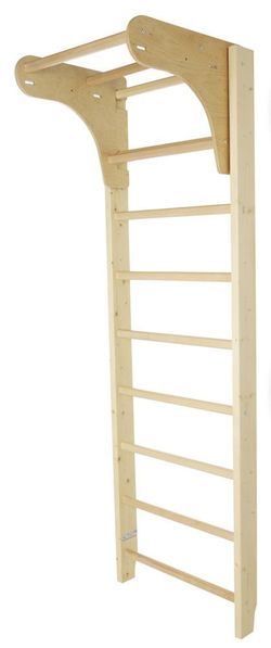 x Шведская стенка 250x90 см inSPORTline Steadyline 22521 (6558)