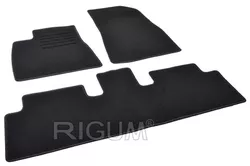купить Коврик для автомобиля Rigum Tesla Model 3 2024- -/ в Кишинёве 