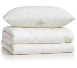 купить Домашний текстиль Relaxe Home 023473 Set Aloe Vera Welpy/RH, pilota 145x210cm (350gr) + Perna 50x70cm в Кишинёве 