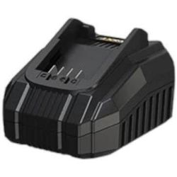 cumpără Încărcătoare și Acumulatoare MaxXT MC20 incarcator în Chișinău 