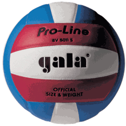 Мяч волейбольный N5 Gala Pro-Line 5011 FIVB (136)