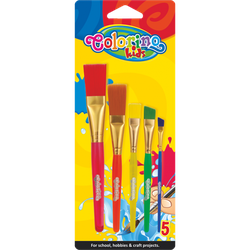 Set din pensule 5 buc Colorino