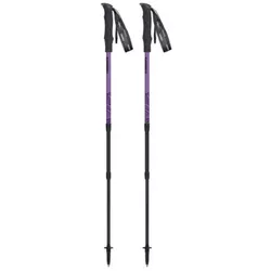 cumpără Bețe pentru trekking Masters HIKER Compact Lite 01S1125 în Chișinău 