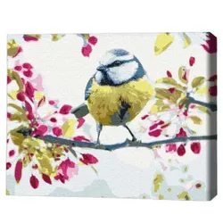 купить Картина по номерам BrushMe RBS51439FC 30x40cm (fără cutie) Pițigoi de primăvară в Кишинёве 