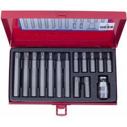 купить Набор головок, бит, насадок King Tony 1015PQ вставки (биты) TORX 10мм, T20-55, 15 пр. в Кишинёве 
