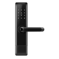 купить Умный дверной замок TTLock H2 Black в Кишинёве