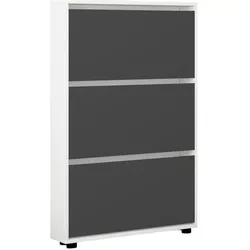 купить Полка для обуви Mobildor-Lux Leo Slim 100x16x125H cm White/Anthracite в Кишинёве 