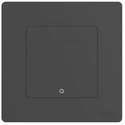 купить Выключатель электрический Moes ZT-SR-EU1-GY-MS в Кишинёве 