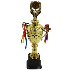 купить Кубок наградной miscellaneous 7190 Чаша 50 см Триумф металл в Кишинёве 