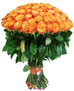 Большой букет из оранжевой розы 70-80СМ