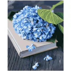 купить Картина по номерам Strateg R 8 /16 (SS1126)(75503) 30x40 cm в Кишинёве 