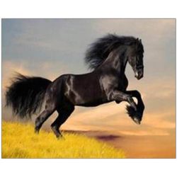 купить Картина по номерам ToyMall 003944 Mozaic cu diamante 40x50 в Кишинёве 