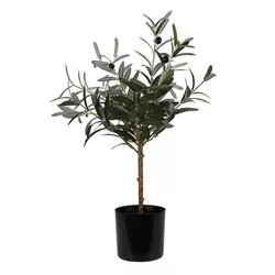 cumpără Plantă artificială Promstore 55249 Maslin 66cm, in ghiveci în Chișinău 