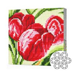 cumpără Tablou pe numere Art Gallery BJ700 Mozaic cu diamante 20x20cm Lalele rosii în Chișinău 