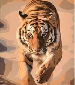 cumpără Tablou pe numere Strateg 57259 Puterea si gratia tigrului 40x50cm în Chișinău 
