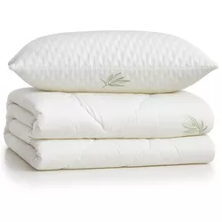 cumpără Textile de casă Relaxe Home 023473 Set Aloe Vera Welpy/RH, pilota 145x210cm (350gr) + Perna 50x70cm în Chișinău 