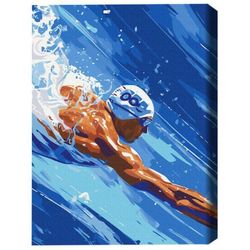 купить Картина по номерам BrushMe BS54099 40x50cm (în cutie) Înot в Кишинёве 