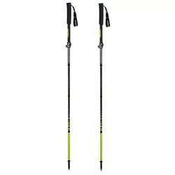 cumpără Bețe pentru trekking Masters TRECIME Carbon Lite 01S2601 în Chișinău 