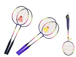 Set palete badminton si fluturas, in plasa