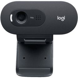 купить Веб-камера Logitech C505e в Кишинёве 