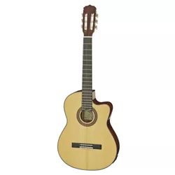 cumpără Chitară Aria A-10CE N Chitara Electro-Classic în Chișinău 