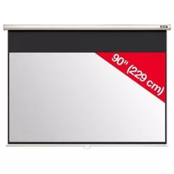 купить Экран для проекторов Acer M90-W01MG (MC.JBG11.001) в Кишинёве 