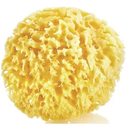 купить Аксессуар для купания BabyJem 163 Burete natural pentru bebelusi Sea Sponge в Кишинёве 