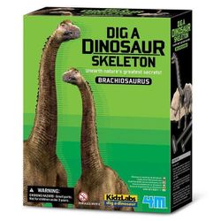 cumpără Set de creație 4M 00-03237 Brachiosaurus Skeleton în Chișinău 