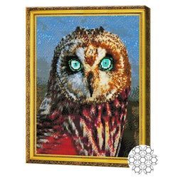cumpără Tablou pe numere Art Gallery GA82012 Mozaic cu diamante 40x50cm Bufnita cu ochi albastri în Chișinău 