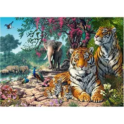 купить Головоломка Castorland Puzzle B-030484 Puzzle 300 elemente в Кишинёве 