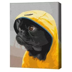 cumpără Tablou pe numere BrushMe RBS52614FC 30x40cm (fără cutie) Pug în capotă în Chișinău 